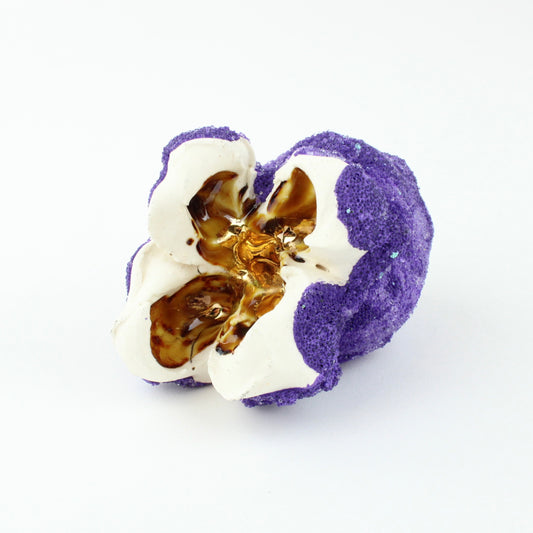 Popcorn - purple