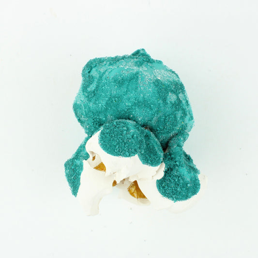 Popcorn - turquoise