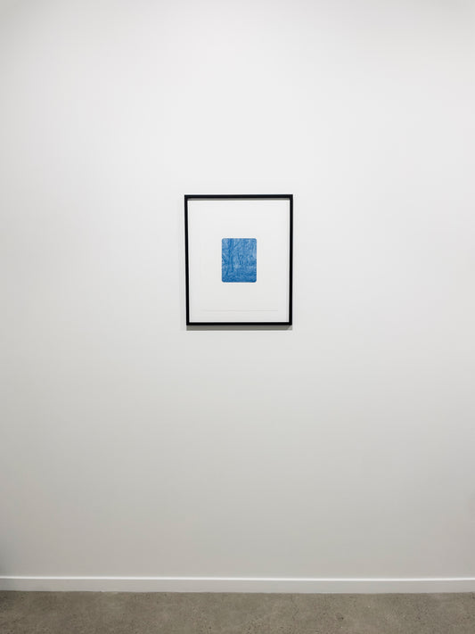 Portrait of Nature II