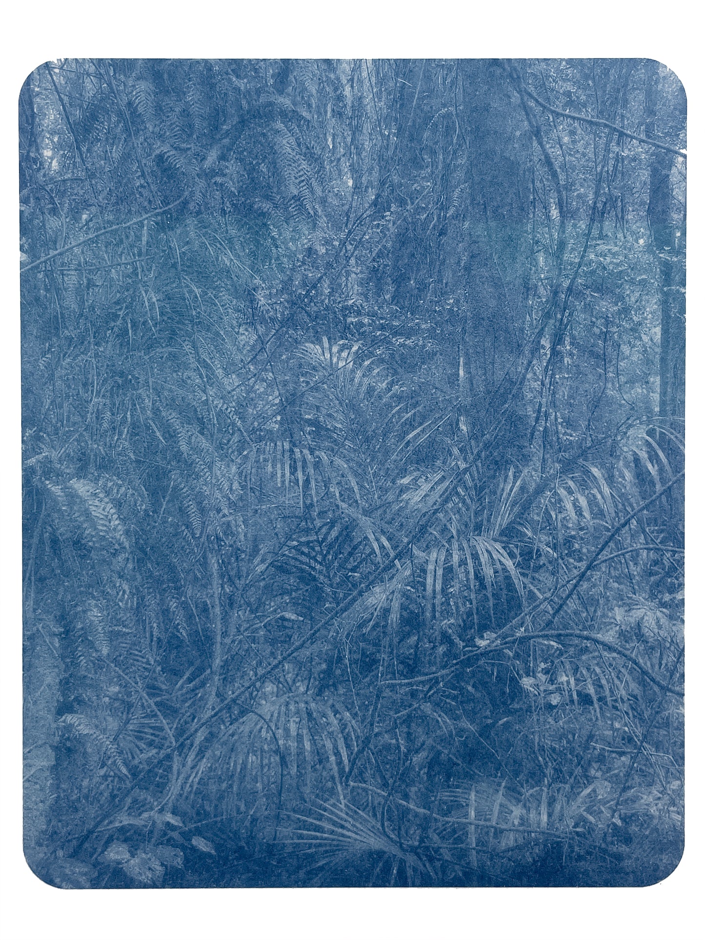 Portrait of Nature III