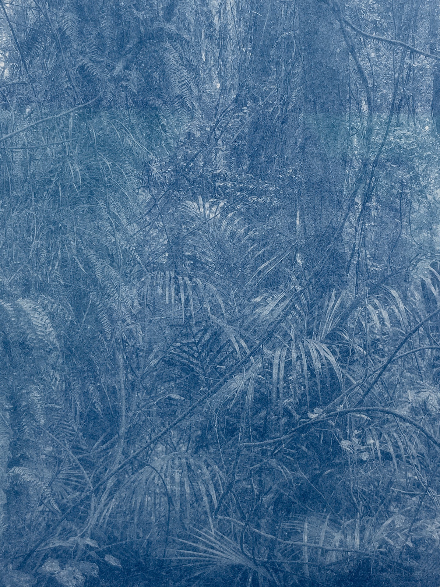 Portrait of Nature III