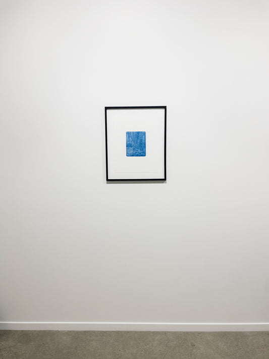 Portrait of Nature VII