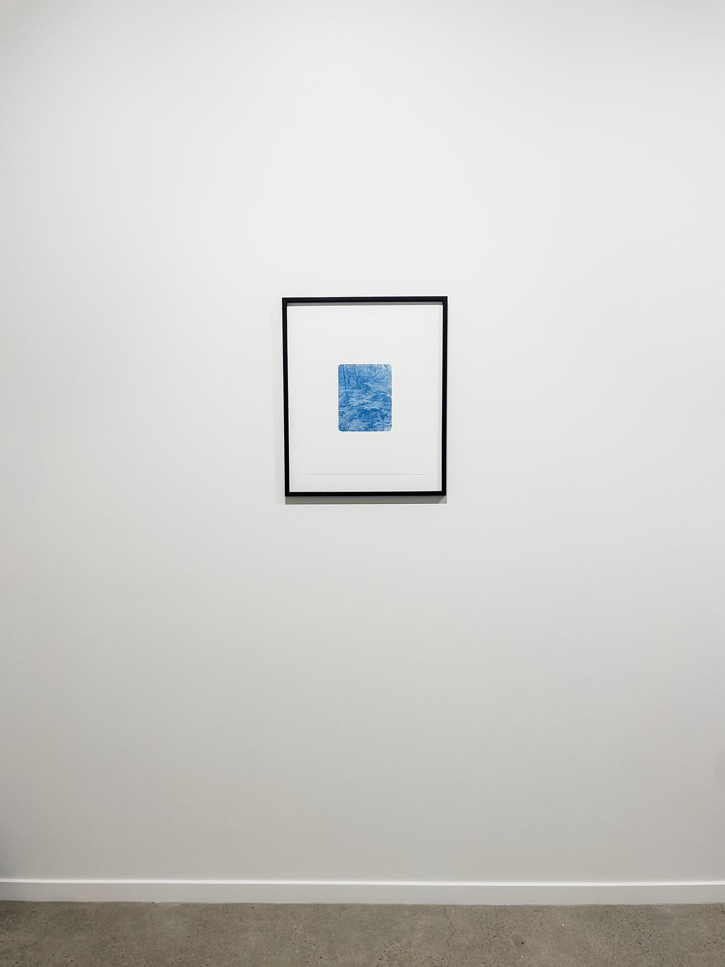 Portrait of Nature VIII