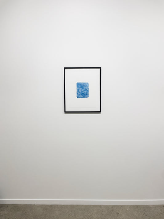 Portrait of Nature VIII