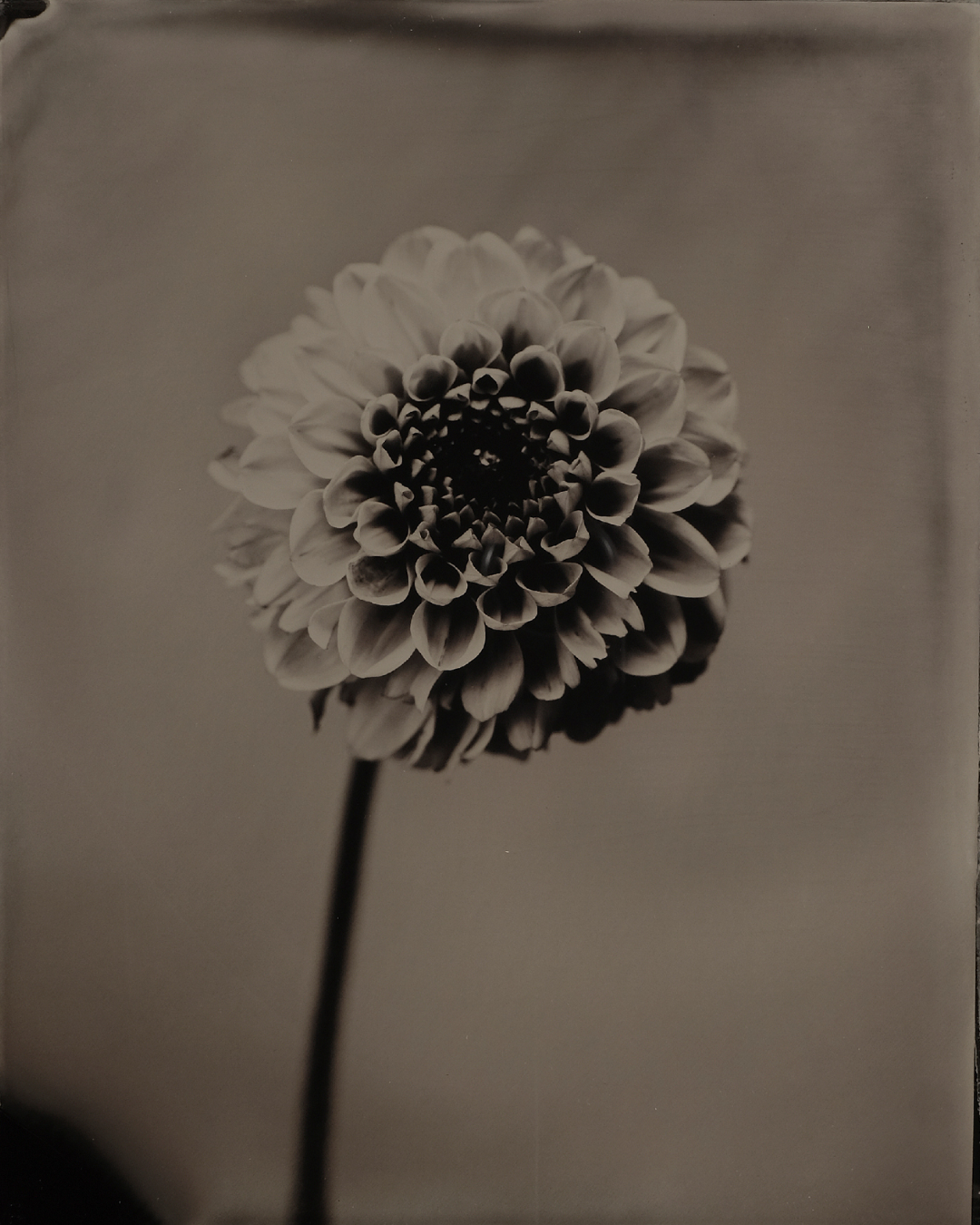 Matthieu Cotteret