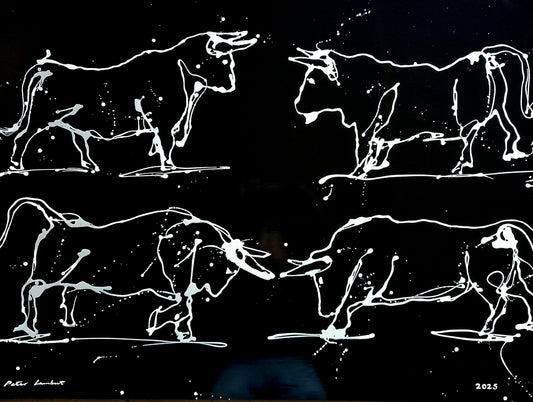 Bulls Sparring