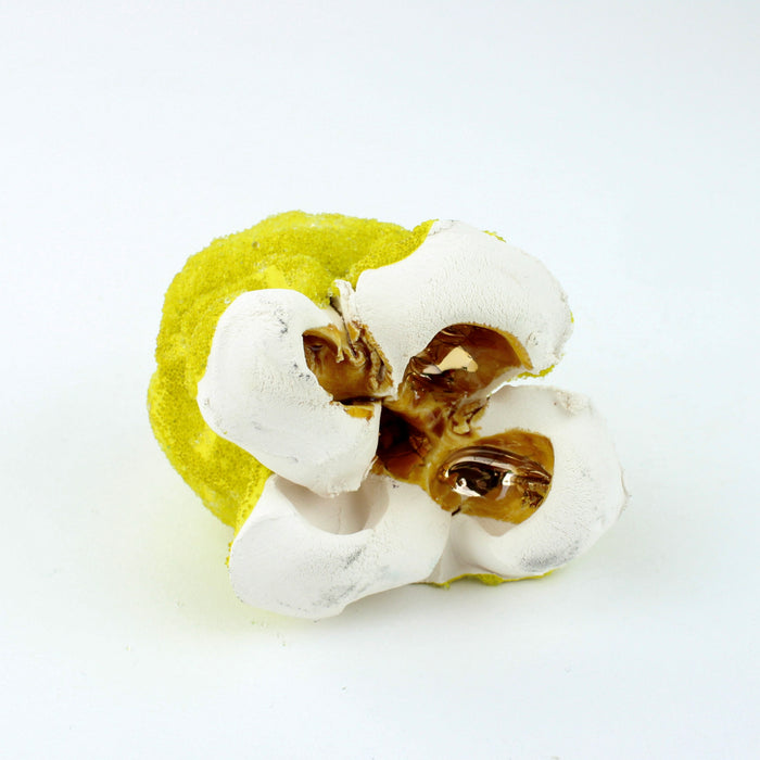 Popcorn - yellow I