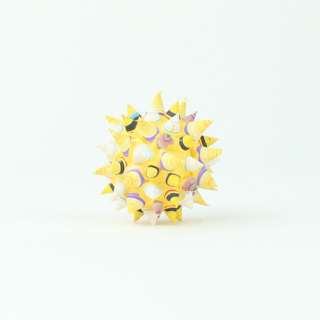 Star Seed 20