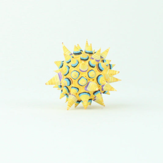 Star Seed 40