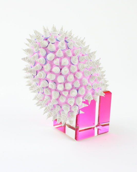Star seed Crystal 1