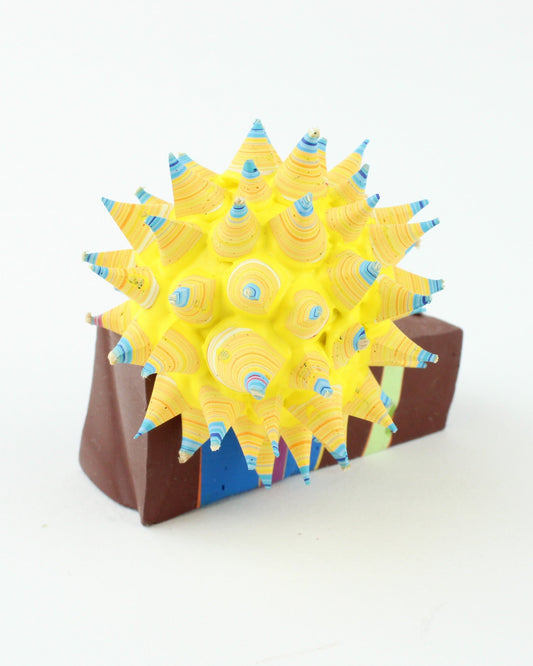 Star Seed Rock 10