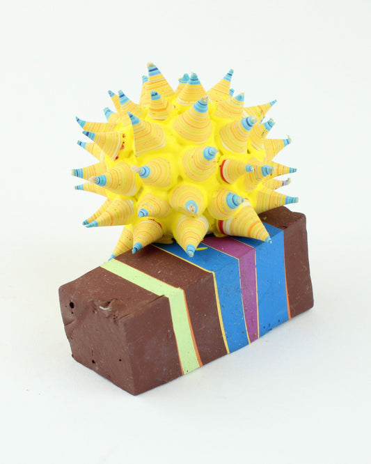 Star Seed Rock 10