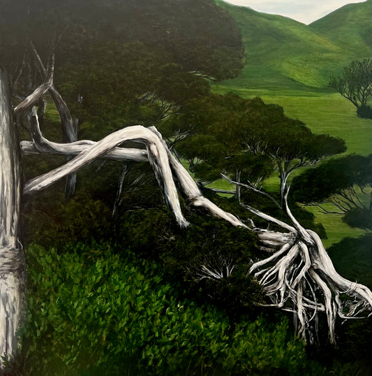 Pāhautea