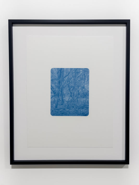 Portrait of Nature II