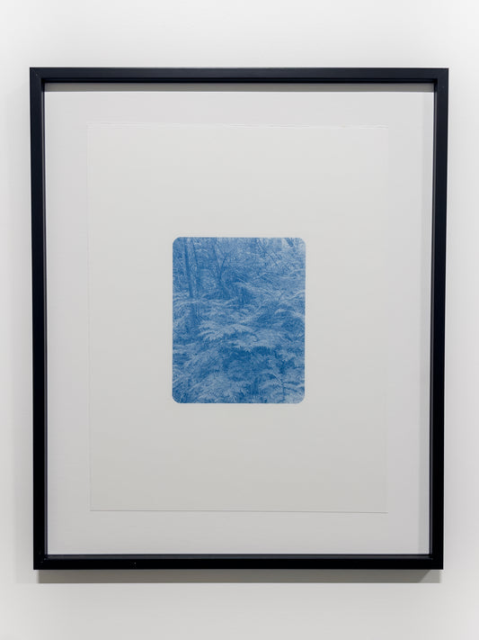 Portrait of Nature VIII
